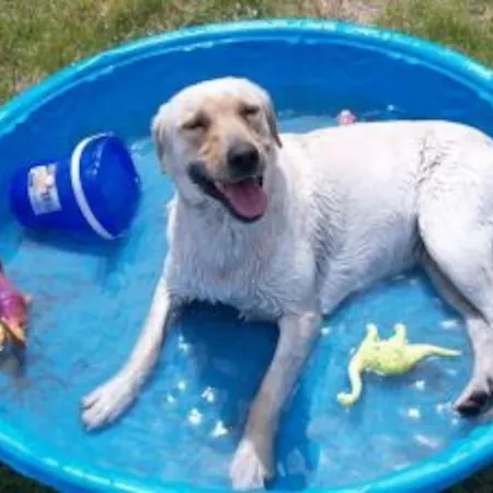 Gino's House Casa vacanze